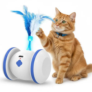 Pet malzemeleri akıllı kedi oyuncak Pet otomatik hareketli engel kaçınma oyuncak tüy ile kediler için interaktif kedi Robot oyuncak eğitim - Product Image 6