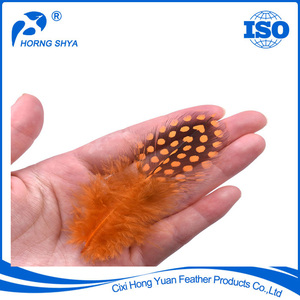 Nhuộm nhuộm nhiều màu sắc khác nhau HP-2 lông chim guinea đầy màu sắc tự nhiên - Product Image 2