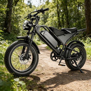 Bicicleta Compacta para Adultos, Ideal para Desplazamientos Urbanos, Venta al Por Mayor - Product Image 4