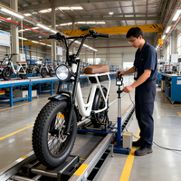 Vélo de montagne électrique à pneus larges de 20 pouces, batterie au lithium 48V sans balais, frein à disque, moteur à moyeu arrière, cadre en acier