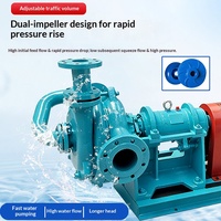 Pompe centrifuge auto-amorçante à fréquence variable haute efficacité pour filtration des eaux usées et des impuretés, résistante à l'usure, 65