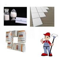 Produits chimiques <span class=keywords><strong>de</strong></span> peinture RDP <span class=keywords><strong>de</strong></span> qualité construction, matière première, poudre RDP, polymère redispersible pour <span class=keywords><strong>mortier</strong></span> flexible résistant aux fissures - Product Image 2