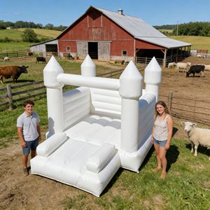 Château gonflable résistant au vent et au sable pour les emplacements de plage exposés avec des dispositifs de sécurité - Product Image 1