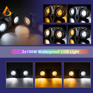 Lampu Audience COB 2in1 Tahan Air 2 Mata IP65 200W DMX <span class=keywords><strong>Blinder</strong></span> untuk Panggung Luar Ruangan, Konser, Pernikahan - Product Image 5
