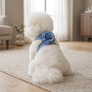 Arnés para Perro con Detalles Florales, Collar para Gato, Collar para Perro, Accesorios para Perros, Ropa Coreana para Mascotas, Kpet, Ropa de Boda para Perros - Product Image 6