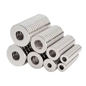 High Performance Ring Magnet Neodymium Sintered Ndfeb Magnet