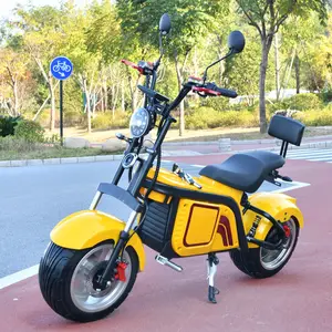 Vier Räder Beliebte Elektromobil ität Scooter Sharing mit Taiwan Motor