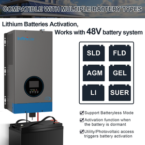 Système solaire hybride basse fréquence 1-6KW VP290 à double sortie BMS pour appareils électroménagers 220V 230V - Product Image 4
