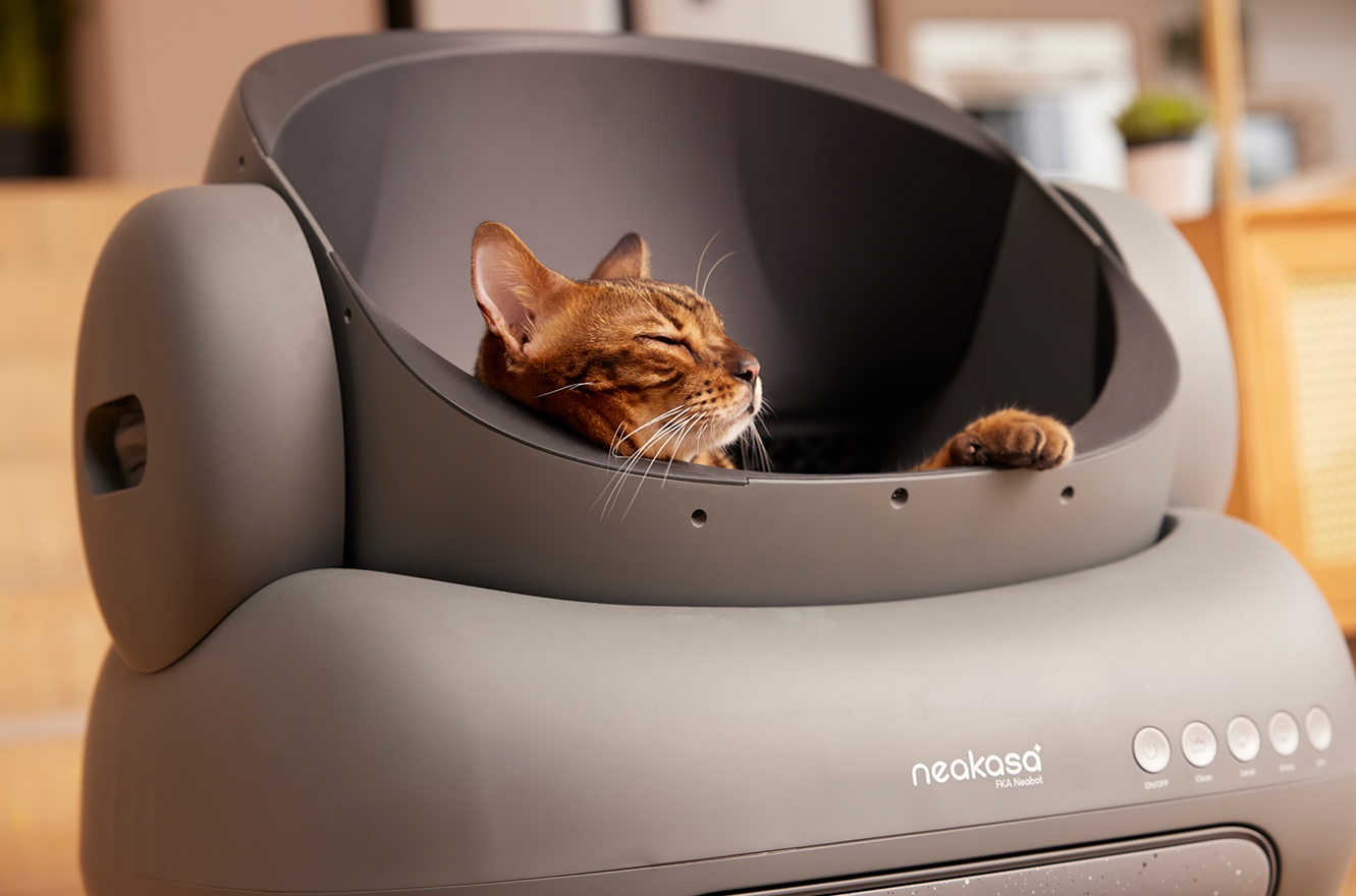 Neakasa M1スマート自動猫リターサンドボックス大型オープン