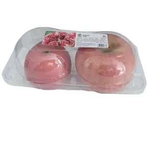 热销塑料水果盒一次性透明盒石榴橙苹果梨