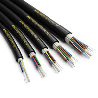Cable Óptico ASU para Exteriores, Precio de Fábrica, G652D Monomodo FTTH, 2-48 Hilos, Cubierta de PVC LSZH, 3km/Rollo, Red Inalámbrica LAN GYXTW