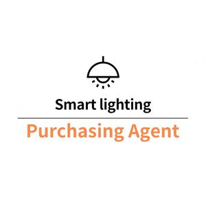 Purchasing Agent China Other Smart <b>Led</b> Curtain Strip Home Street Christmas <b>Sensor</b> Traffic <b>Lighting</b> Switch Wifi System - Product Image 1