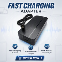 Chargeur de batterie 168W 42V 4ALi-ion pour vélo électrique, chargeur rapide pour batterie Reention Polly, compatible avec les boîtiers de batterie DP-5 DP-9 DP-6