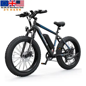 USA Stock 48V 13AH 500W Fat Tire Mountain Off-Road Electric Bike Multi Mode Long Range LCD Display Sport Fast Ebike