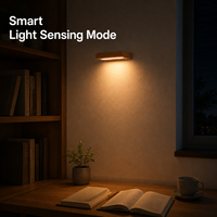 Lampu Dinding Sensor Gerak Tenaga Surya Kayu LED Lampu Malam Otomatis Menyala Saat Gelap Hingga Fajar Pemasangan Magnetik Tanpa Kabel Dekorasi Dalam Ruangan Grosir