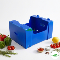 Inklapbare PP holle plaat fruit- en groentebak 45x25x8cm gegolfde kunststof krat voedselveilig herbruikbaar opvouwbare logistieke bak