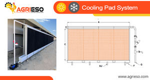 Günstiger Preis Honeycomb <span class=keywords><strong>Cooling</strong></span> <span class=keywords><strong>Pad</strong></span> Broiler Gewächshaus Geflügel Verdunstung skühl kissen Braun/Grün/Schwarz Waben wasser pads - Product Image 6