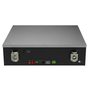 Nouveauté en stock pour batterie au lithium DL5.0C DL5.0C-1C 5.12kWh 51.2V/48V 100AH Lifepo4 certifiée CE Garantie 10 ans - Product Image 6