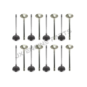 Mercedes-Benz <span class=keywords><strong>2</strong></span>.0 Dizel A220 B200 B220 C200 C220 C300 CLA220 CLS300 E300 E400 S400 için OM654 Motor Emme Egzoz Valf Seti - Product Image 3