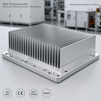 Dissipateur thermique en aluminium extrudé sur mesure, profil usiné CNC, radiateur de refroidissement pour équipements électroniques de puissance