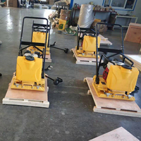 Compacteur à plaques vibrantes de haute qualité Mini compacteur à vendre