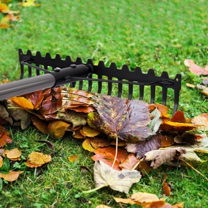 Rastrillo de acero inoxidable para eliminar el pelo de las mascotas, rastrillo de alfombra para excavar, <span class=keywords><strong>Harley</strong></span> - Product Image 5