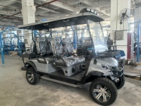 Voiturette de golf électrique personnalisée Sammy, homologuée pour la route, 6 places, batterie lithium-ion 72V