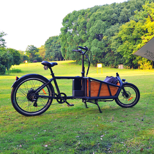 Vélo familial à 2 roues avec moteur 48V 500W, chargement frontal pour transporter des enfants, vélo électrique de ville, frein à disque, super capacité de charge - Product Image 6