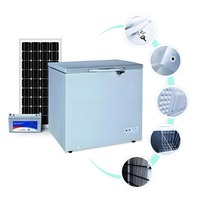 Congélateur coffre solaire autonome 300L DC12V 24V, efficacité énergétique A++, pour camping, marché, zones rurales éloignées, OEM