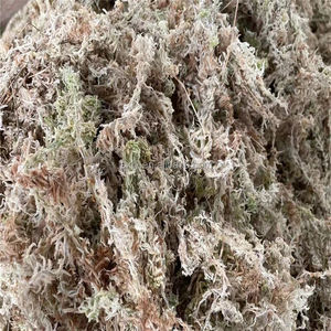 Musgo Sphagnum de Hilo Largo Grado 5A para Cultivo de Arándanos en Chile - Abono y Mezcla de Tierra Ácida con pH 3.5-4.5 - Product Image 5