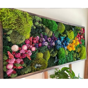 Bureau décoration de la maison 100% vraies plantes naturelles carré vert <span class=keywords><strong>stabilisé</strong></span> conservé pôle renne mousse <span class=keywords><strong>mur</strong></span> Art fête des mères - Product Image 6