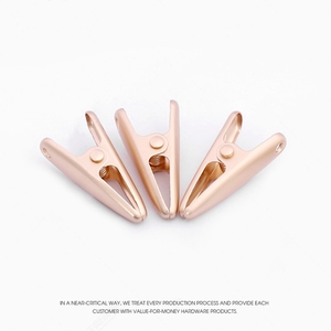 Clips métalliques Clips suspendus <span class=keywords><strong>Épingle</strong></span>s <span class=keywords><strong>à</strong></span> <span class=keywords><strong>linge</strong></span> colorées <span class=keywords><strong>Mini</strong></span> pinces <span class=keywords><strong>à</strong></span> <span class=keywords><strong>linge</strong></span> Pinces utilitaires polyvalentes Haute élasticité Bonne persistance - Product Image 2