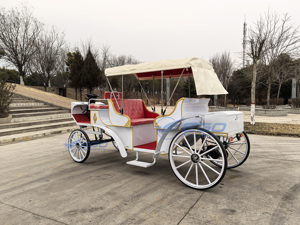Carrosse de Victoria électrique pour le tourisme et les mariages, transport spécial, prix usine, à vendre - Product Image 5