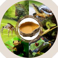 Bol d'eau en résine pour reptiles, réplique de roche naturelle, pour gecko, serpent, grenouille, lézard, tortue, araignée, terrarium