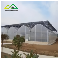 Polyfolie Gotische Landbouwkas Kit |   Enkelvoudige grote multispan commerciële constructie voor hoogproductieve groente- en bessenteelt