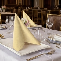 Serviettes de table jetables en papier Airlaid de haute qualité, colorées, sans poussière, 1 pli, 40*40CM, pliées en 1/4, couleur beige, pour hôtels et restaurants