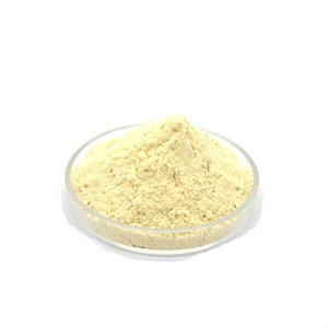 ผงสาหร่าย DHA ขายส่ง 10% 20% 30% 50% อาหารเสริมจากสาหร่าย <span class=keywords><strong>Schizochytrium</strong></span> ธรรมชาติ - Product Image 1