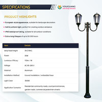 Lampadaire LED d'extérieur à double tête avec design à double bras noir pour rues, cours, allées et projets paysagers