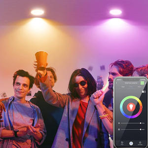 Bombilla Inteligente Tuya Weifei, Regulación Continua, Compatible con Alexa y Google, Lámpara con <span class=keywords><strong>Tinte</strong></span>, Bombilla Inteligente Transfronteriza - Product Image 3