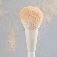 Kit de 12 pièces logo personnalisé de haute qualité Itembeauty fond de teint cosmétique Spoolie maquillage ombre à paupières pinceau