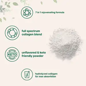 Suplemento de Proteínas em pó para cuidados de beleza Vital Collagen Multi Peptides de Colágeno em pó personalizado de fábrica