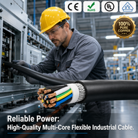 Cadena Portacables de PVC de Alta Flexibilidad y Resistencia al Aceite para Máquinas CNC y Sistemas de Automatización Industrial a Precio de Fábrica