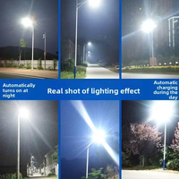 Lampadaire solaire IP67 à alimentation directe d'usine avec corps en ABS, panneaux LED alimentés par cellules et capteur pour usage extérieur en jardin