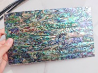 Coquille d'ormeau naturelle en gros 14x24cm avec une épaisseur de 1-2mm pour instruments de musique et incrustation de sol de meubles