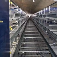 Équipement d'élevage de poulets en batterie entièrement automatique, galvanisé à chaud, pour grandes fermes avicoles modernes avec moins de main-d'œuvre