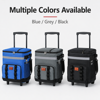 Sac isotherme à roulettes moderne et imperméable de 35 L, chariot de pique-nique isolé avec ouvre-bouteille réutilisable