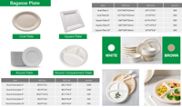 Assiettes jetables en bagasse blanches, vente en gros, compostables, écologiques, résistantes au micro-ondes, personnalisables, en vrac, OEM
