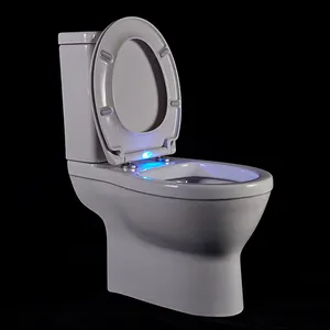 Energie spar modus Design Nachtlicht LED Duroplast Toiletten sitz