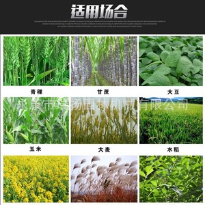 เครื่องตัดหญ้าแบบ 4 จังหวะ 140F 41.5 ซีซี ระบบจุดระเบิด CDI ระดับมืออาชีพ - Product Image 5