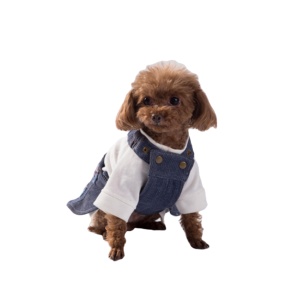 Cool pet roupas cão designer roupas inverno <span class=keywords><strong>jean</strong></span> jaqueta cão casaco - Product Image 2